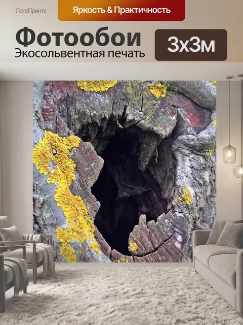 Фотообои Пещера деревьев