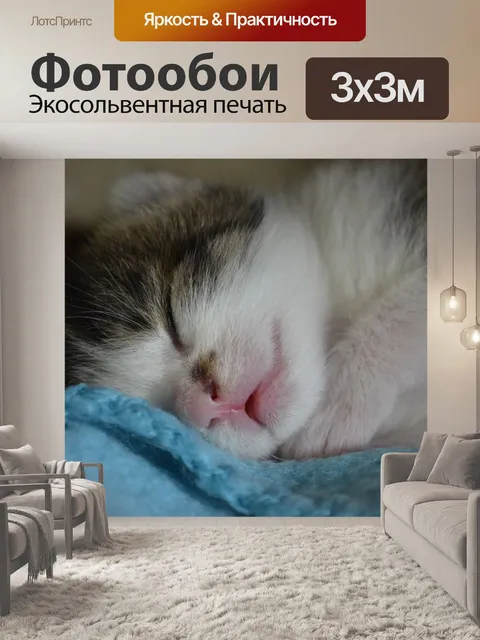 Фотообои Спать