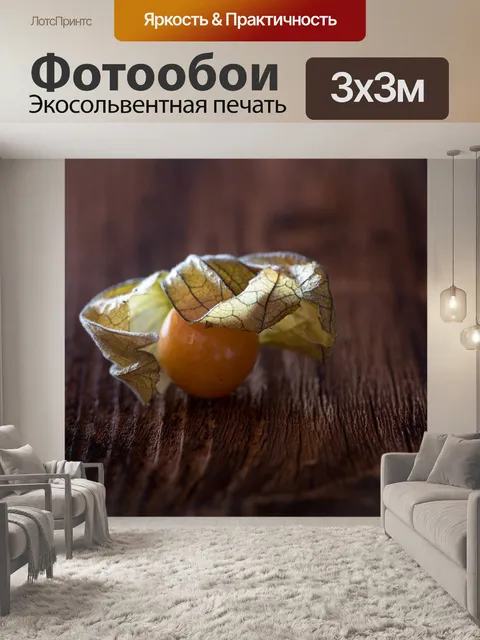 Фотообои Физалис
