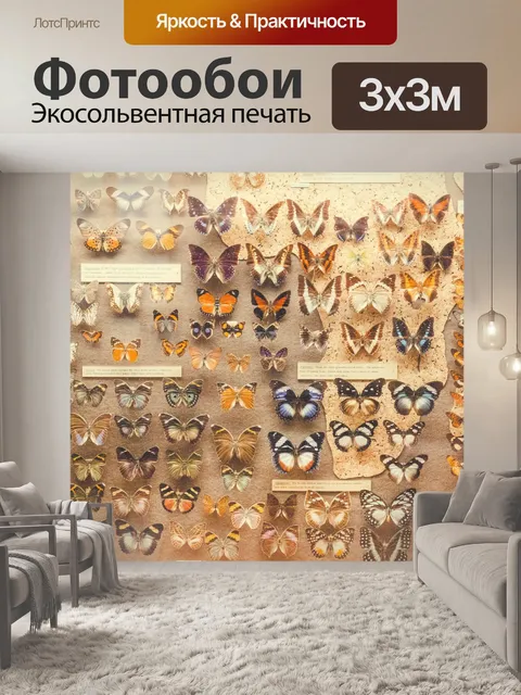 Фотообои коллекция бабочек