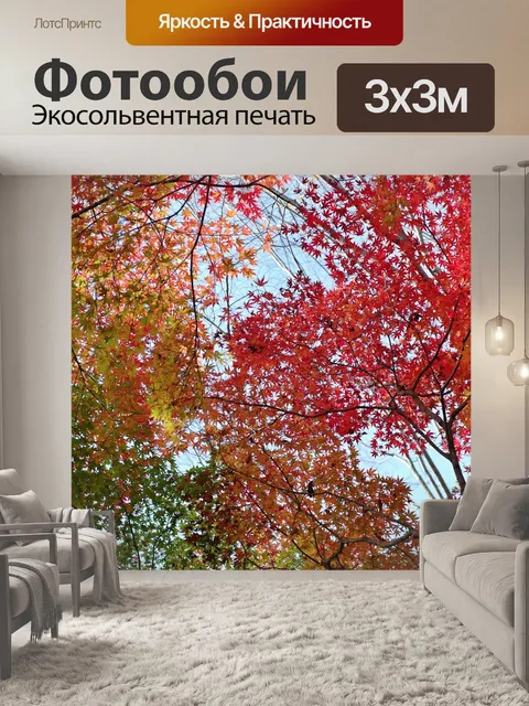 Фотообои Осень