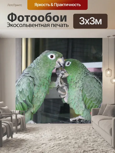 Фотообои Птицы