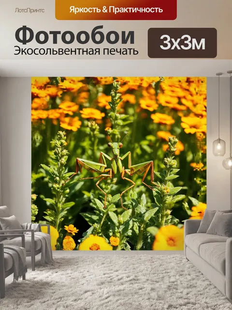 Фотообои огромный зеленый и коричневый богомол