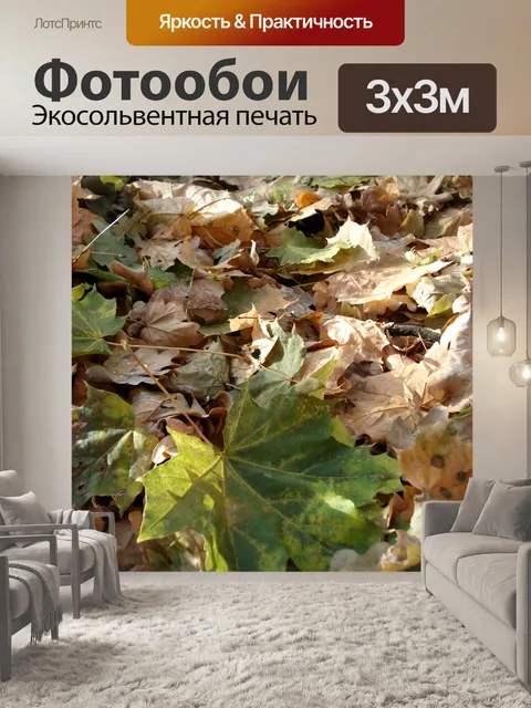 Фотообои Осень