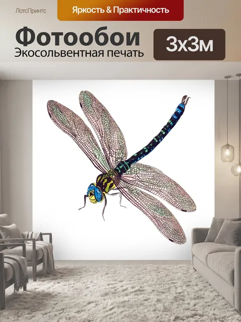 Фотообои Стрекоза старинная иллюстрация
