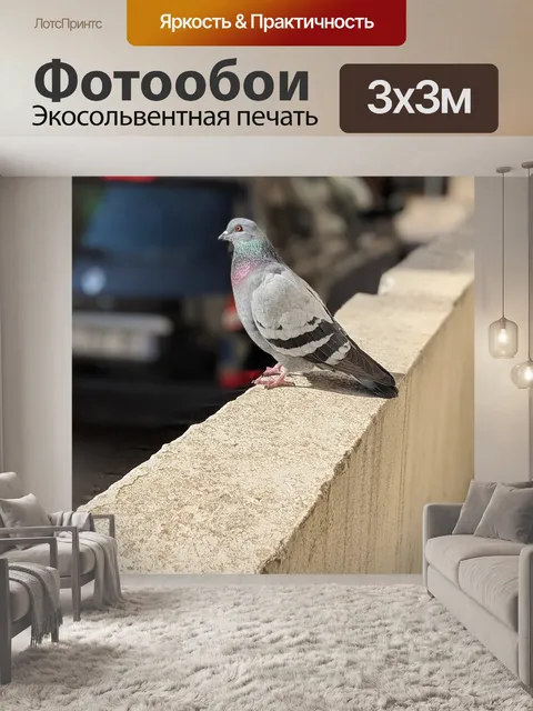 Фотообои Птица