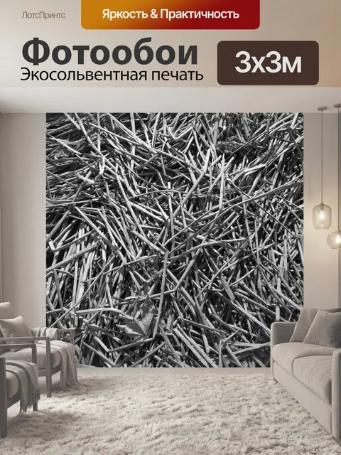 Фотообои Камыши Texture 2