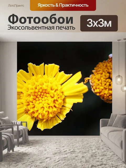 Фотообои желтый цветок с изрезанными лепестками