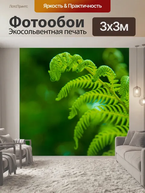 Фотообои папоротник