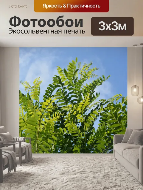 Фотообои Листы