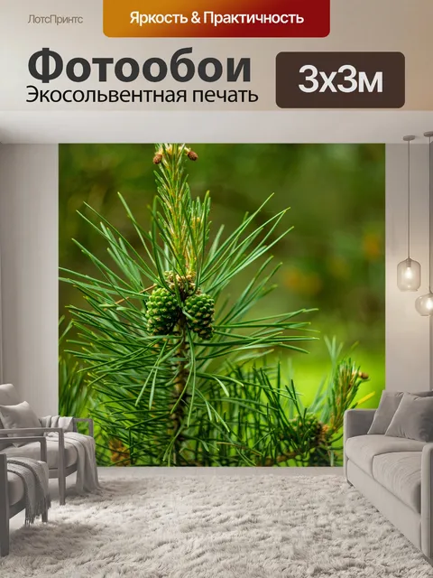 Фотообои Лес