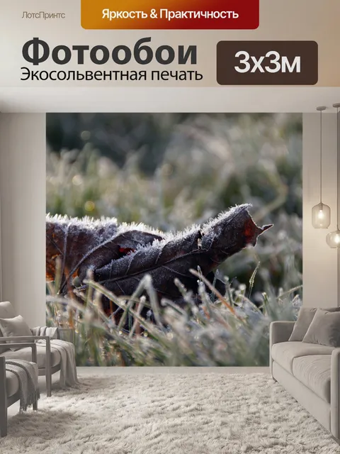 Фотообои Осенний лист иней иней иней