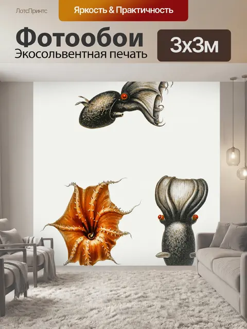 Фотообои Кальмар Octopus Octopus Vintage