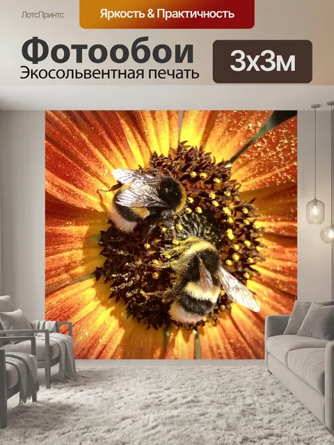 Фотообои Шмель