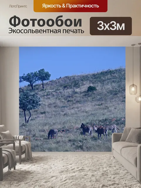 Фотообои ряд краев и зебр
