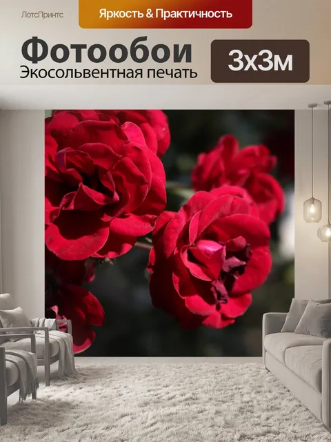 Фотообои Роза