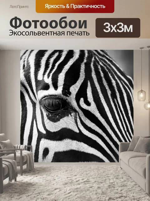 Фотообои Зебра