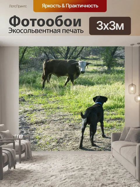 Фотообои Лаборатории по сравнению с быком