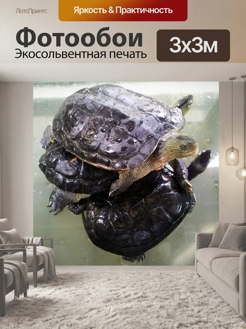 Фотообои 3 черепахи пирамида