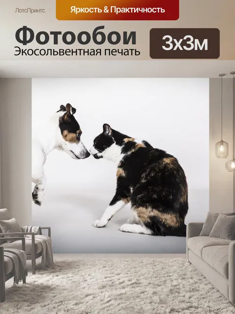 Фотообои Собака