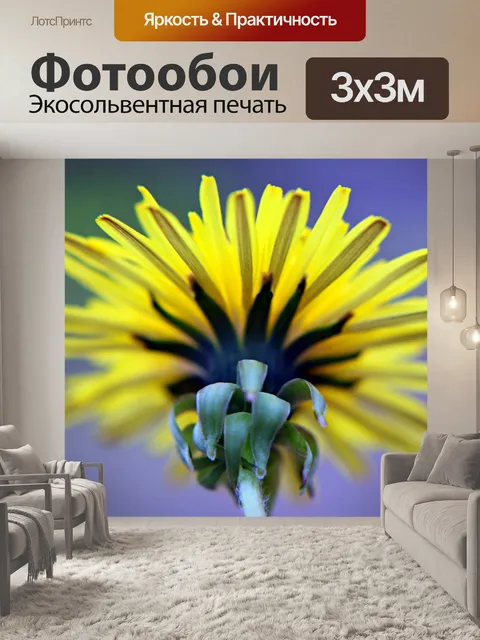 Фотообои полевой цветок