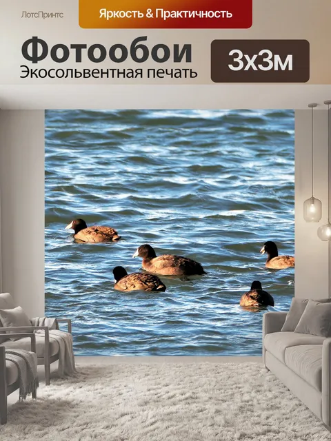 Фотообои Американское плавание в озере