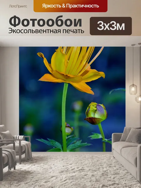Фотообои Цветок