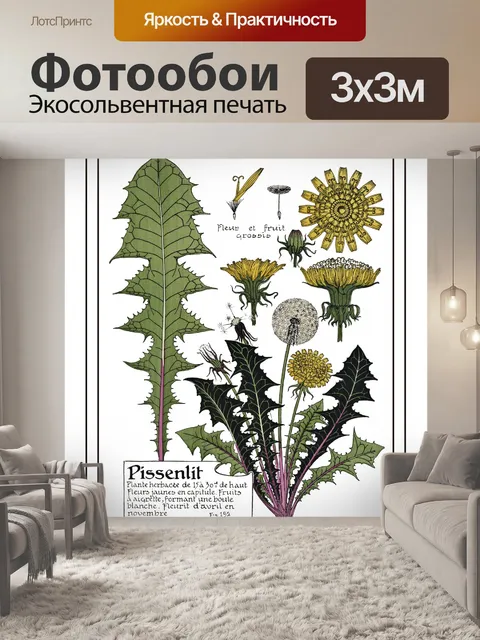 Фотообои Одуванчик Винтаж Ботаническое Искусство