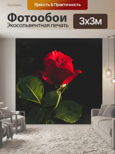 Фотообои Розовый