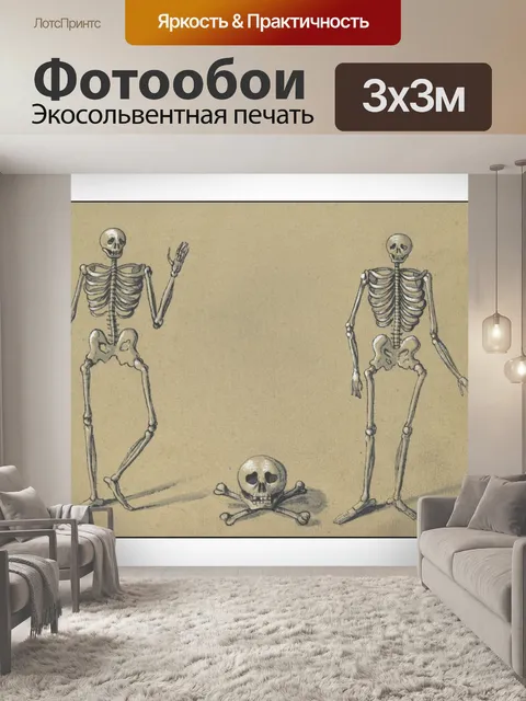 Фотообои Винтажное Искусство Скелеты Череп
