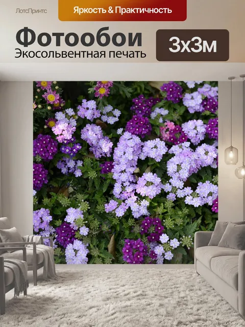 Фотообои Фиолетовый