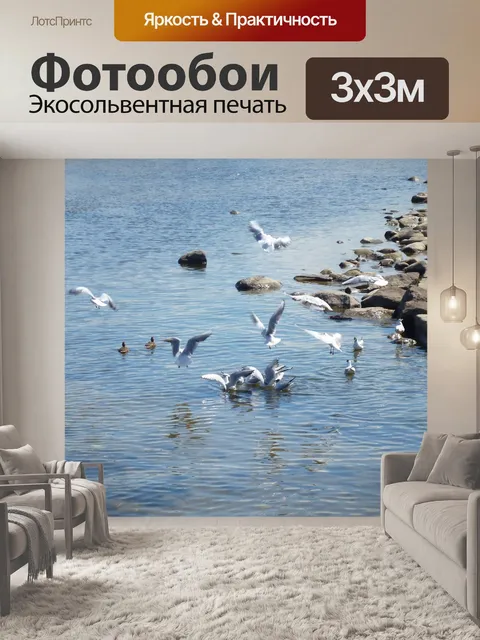 Фотообои Чайки