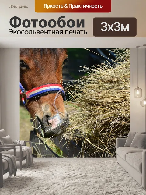 Фотообои Лошадь