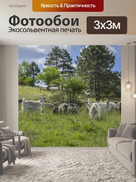 Фотообои Овцы в весеннем пейзаже