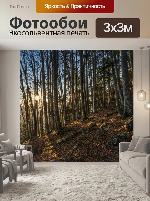Фотообои Лес
