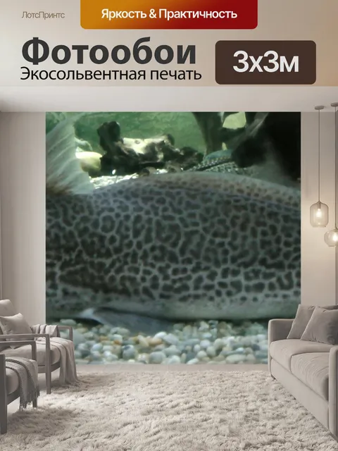 Фотообои Cat рыбы