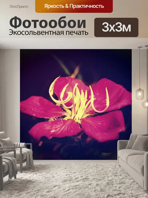 Фотообои Красивый цветок