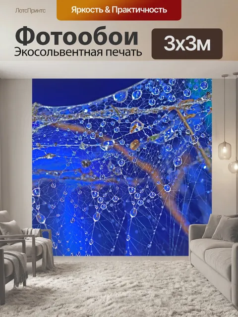 Фотообои Паутина