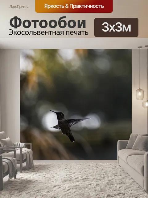 Фотообои Колибри в полете