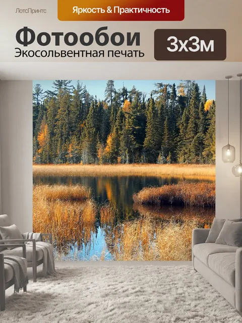 Фотообои Болото