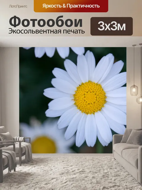 Фотообои Цветок макрос изображение