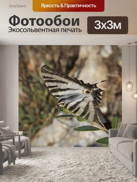 Фотообои Природа
