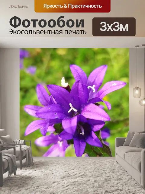 Фотообои Фиолетовый