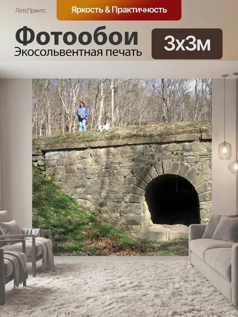 Фотообои Тролль Дом