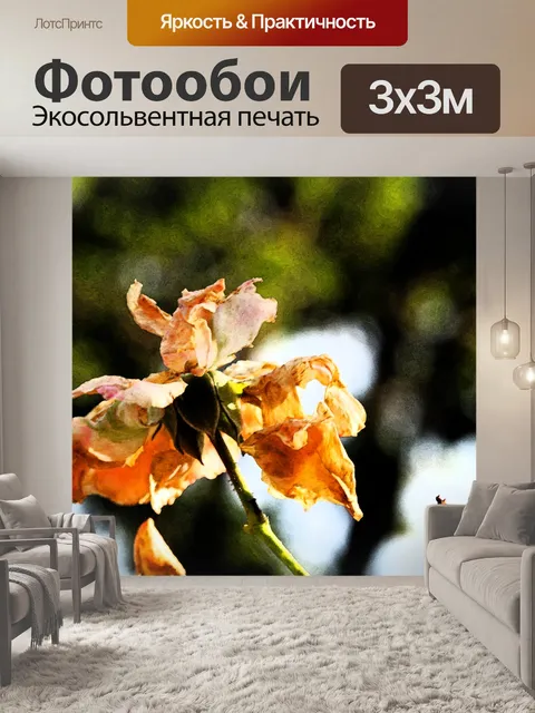 Фотообои фреска фон добавлен к розе