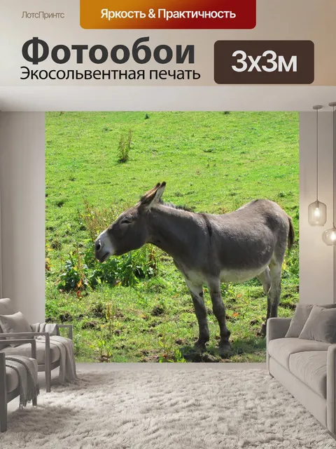 Фотообои Осел на лугу 2