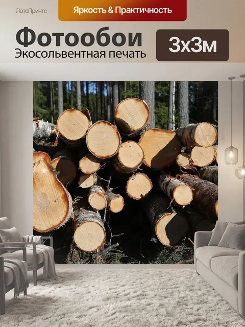 Фотообои Лес