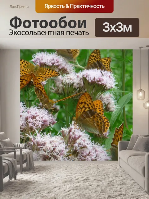 Фотообои Бабочки роем
