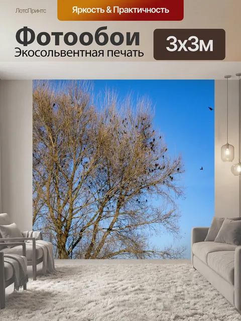 Фотообои Птицы на голом дереве