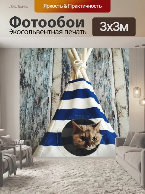 Фотообои Котик